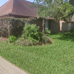 Exterior photo of JMP Landscape - Houston, Texas Exterior photo of JMP Landscape - Houston, Texas