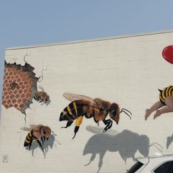 Bee Mindful:  They are Important