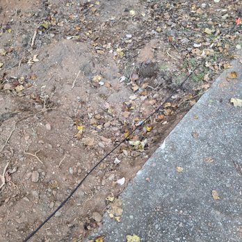 Red Oak Tree Service - Tree Services Near Me Red Oak Tree Service - Tree Services Near Me