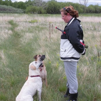 High Plains Tailblazers - Dog Walkers Near Me