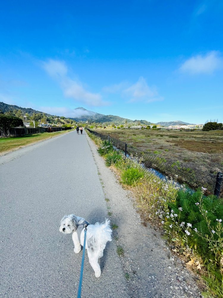 Golden Gate Trailer Park