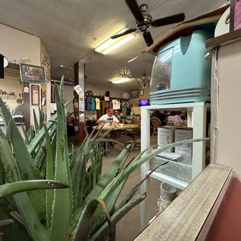 Mud Hole - the inside of a store with a plant in the foreground - Breakfast & Brunch Near Me - Rapid City, South Dakota Mud Hole - the inside of a store with a plant in the foreground - Breakfast & Brunch Near Me - Rapid City, South Dakota