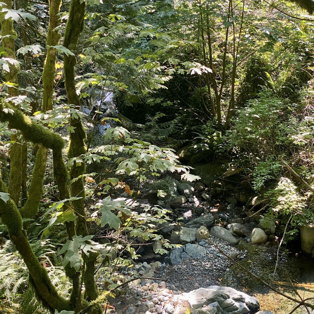 Chuckanut Drive - Hotels & Travel Near Me - Bellingham, Washington Chuckanut Drive - Hotels & Travel Near Me - Bellingham, Washington