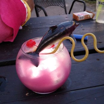 The Odd - Dive Bars Near Me - Asheville, North Carolina The Odd - Dive Bars Near Me - Asheville, North Carolina