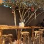 Oscars Kitchen