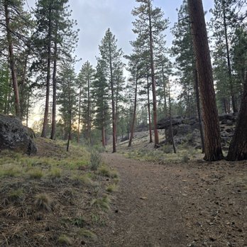 Shevlin Park - Parks Near Me - Bend, Oregon