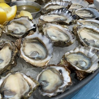 Taylor Shellfish Farms - Seafood Markets Near Me - Bow, Washington Taylor Shellfish Farms - Seafood Markets Near Me - Bow, Washington