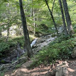 Skyline Drive