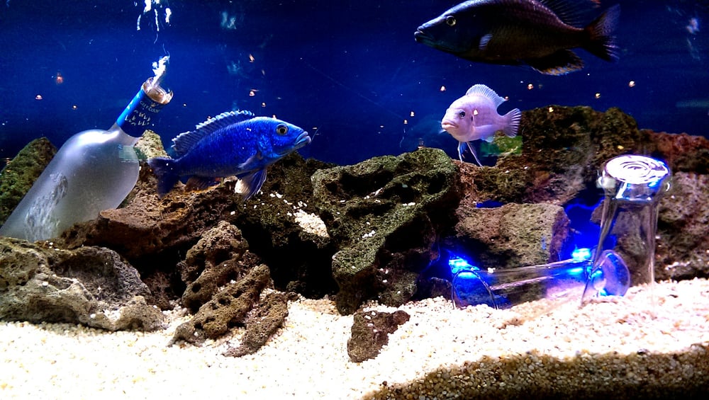 THE BOILER ROOM Updated November 2025 5200 Washington Ave, Racine