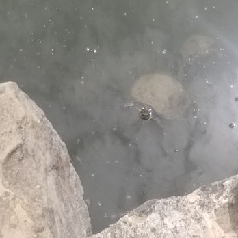 Concepcion Park - Tortugas - Parks Near Me - San Antonio, Texas