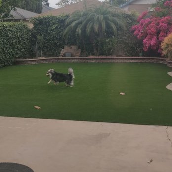 HaloTurf - Artificial Turf Near Me - Los Alamitos, California