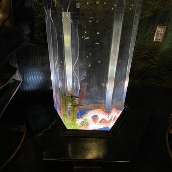 Black Swan Inn - Fish tank table - Hotels Near Me - Pocatello, Idaho