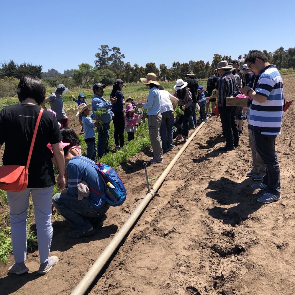 Brothers Ranch - a large group of people in a field - Farmers Market Near Me - Watsonville, California Brothers Ranch - a large group of people in a field - Farmers Market Near Me - Watsonville, California
