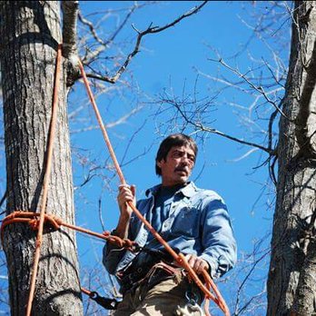 AAA Union Tree Service & Stump Removal - Landscaping Near Me - Union, South Carolina AAA Union Tree Service & Stump Removal - Landscaping Near Me - Union, South Carolina