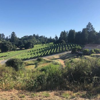 Fog Crest Vineyard - Wine Tasting Room Near Me - Sebastopol, California Fog Crest Vineyard - Wine Tasting Room Near Me - Sebastopol, California
