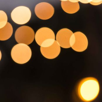 Gamut Cinematography - Videographers Near Me - Miami, Florida