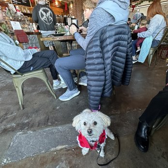 Red Beard Coffee - Inside this dog friendly coffee house. - Coffee & Tea Near Me - Dodge City, Kansas Red Beard Coffee - Inside this dog friendly coffee house. - Coffee & Tea Near Me - Dodge City, Kansas