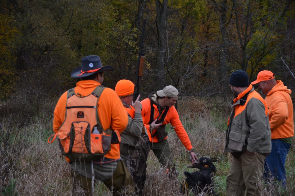 Social spots from Camp Bright Bird