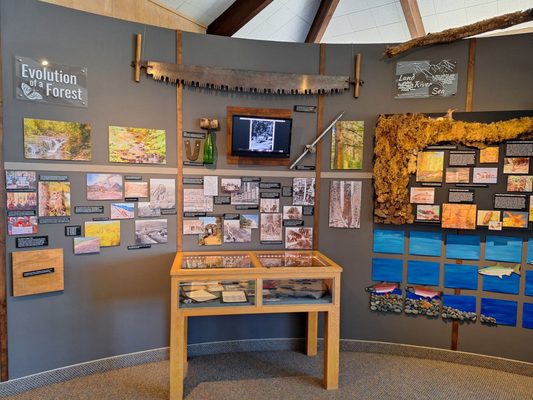 Cape Perpetua Visitor Center - Siuslaw National Forest by null