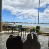 Aloha Tower Marketplace gift card
