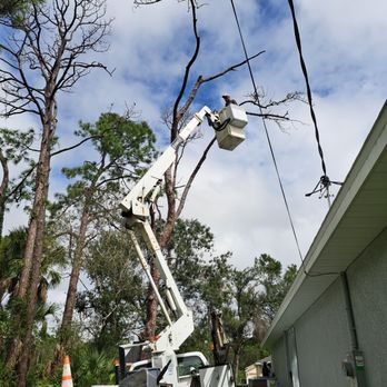 James Tree Services - Tree Services Near Me James Tree Services - Tree Services Near Me