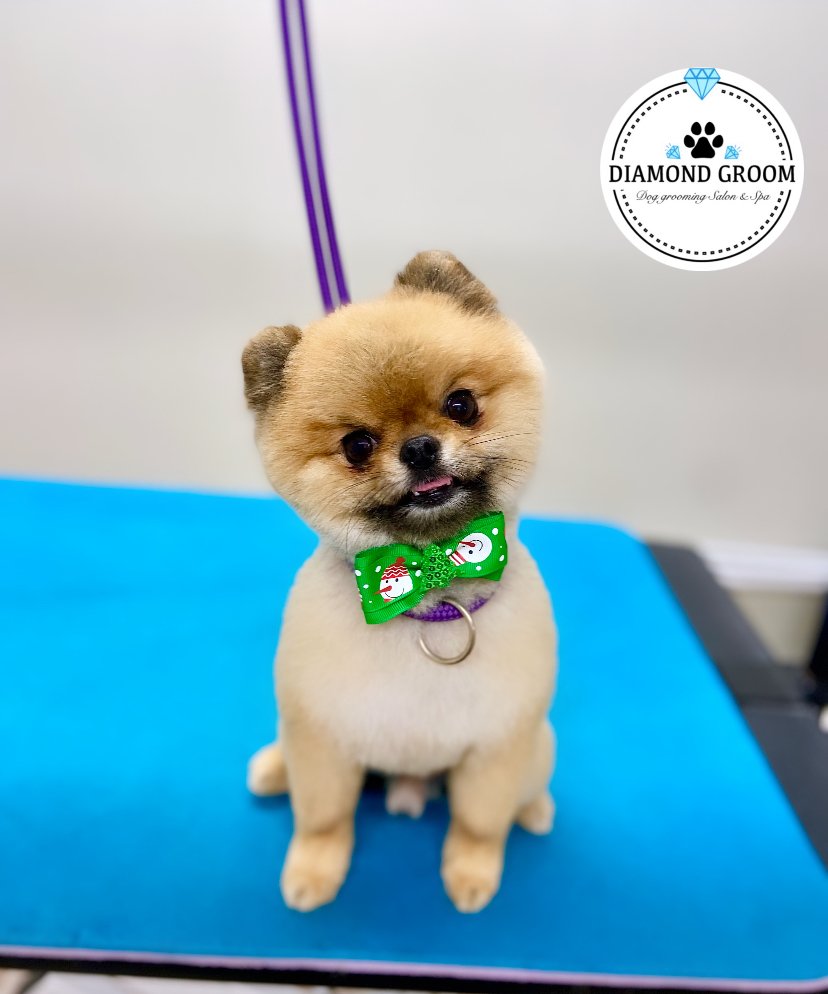 DIAMOND GROOM 19 Photos 179 Grange Lane, Liverpool, Merseyside