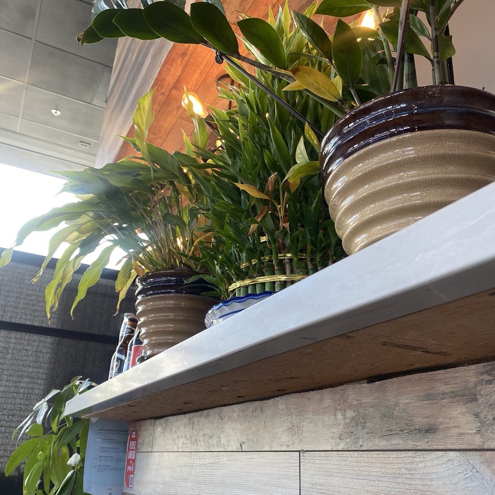 Pho Koi - I love the live plants that they have as decor - Vietnamese Near Me - Corona, California