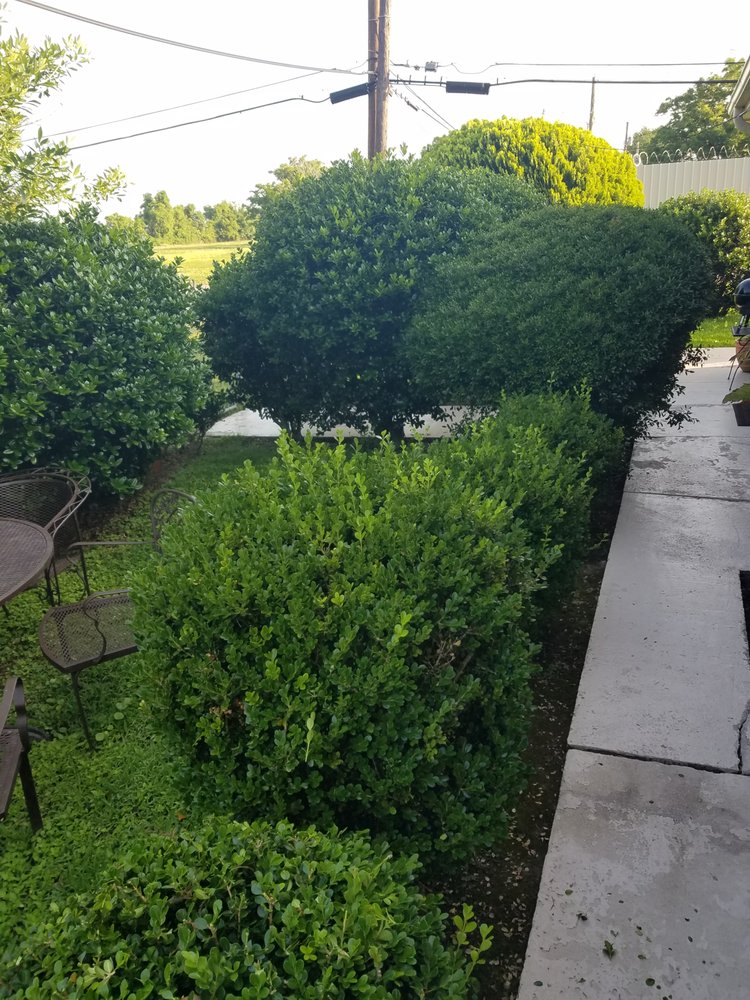 Slide of LA Handyman Services