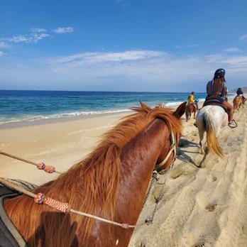 G-Force Adventures - Tours Near Me - Cabo San Lucas, BCS G-Force Adventures - Tours Near Me - Cabo San Lucas, BCS