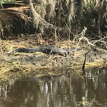 Airboat Adventures - Boat Tours Near Me - Lafitte, Louisiana Airboat Adventures - Boat Tours Near Me - Lafitte, Louisiana