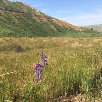 Hart Memorial Park - During spring theres wildflowers hidden in the hills. - Parks Near Me