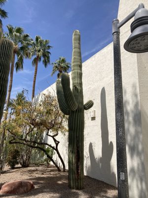 Scottsdale Civic Center by null
