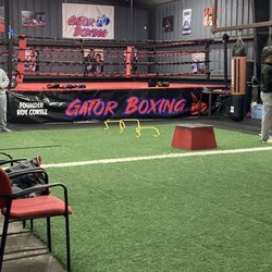 Gator Boxing