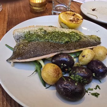 Zut On Fourth - Steelhead - Mediterranean Near Me - Berkeley, California