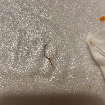 Captain D's - a dead worm on a table - Seafood Near Me - Cleveland, Tennessee