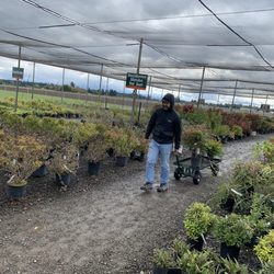 Garden World - It was a wet and dreary day, perfect for shopping and planting!