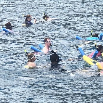 Calypso Charters - More snorkeling - Snorkeling Near Me - Wailuku, Hawaii Calypso Charters - More snorkeling - Snorkeling Near Me - Wailuku, Hawaii