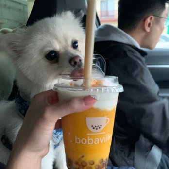 Bobaville - Mango king - Bubble Tea Near Me - San Francisco, California