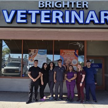 Brighter Veterinary Center - Thank you BVC team! We are ready!!! - Veterinarians Near Me - Northridge, California Brighter Veterinary Center - Thank you BVC team! We are ready!!! - Veterinarians Near Me - Northridge, California