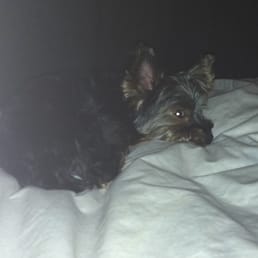 Cooper is ready for bed after a great day at PPP! Cooper is ready for bed after a great day at PPP!