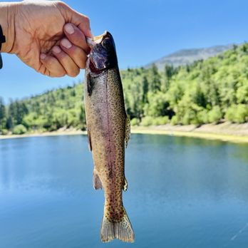 Jenks Lake - Lakes Near Me - Mentone, California