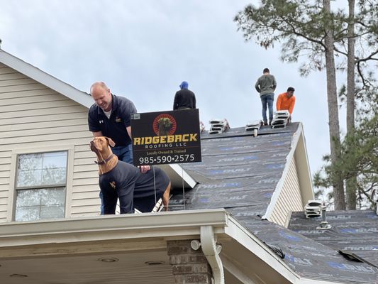 Ridgeback Roofing