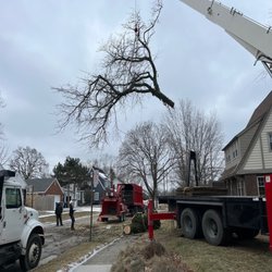 All Seasons Tree Care