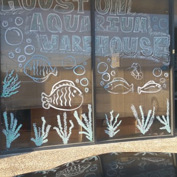 Houston Aquarium Warehouse - Top quality professionalism welcome here..SIKE! - Aquarium Services Near Me - Stafford, Texas Houston Aquarium Warehouse - Top quality professionalism welcome here..SIKE! - Aquarium Services Near Me - Stafford, Texas