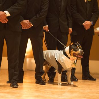 Creative Coordination - The Best Doggie - Party & Event Planning Near Me Creative Coordination - The Best Doggie - Party & Event Planning Near Me