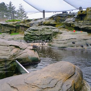 Oregon Coast Aquarium - Aquariums Near Me - Newport, Oregon Oregon Coast Aquarium - Aquariums Near Me - Newport, Oregon