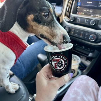 7 Brew Coffee - Pup cup! - Coffee & Tea Near Me - Muskogee, Oklahoma