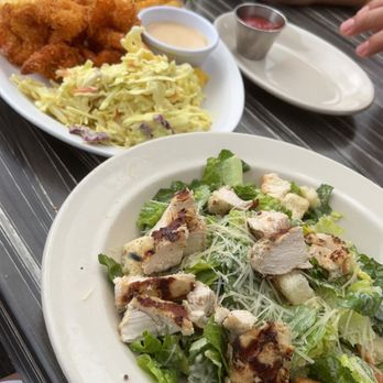 Coconuts - Coconut shrimp and Caesar salad - Seafood Near Me - Fort Lauderdale, Florida Coconuts - Coconut shrimp and Caesar salad - Seafood Near Me - Fort Lauderdale, Florida