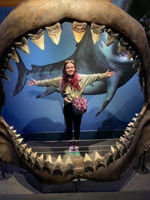 Texas State Aquarium by null