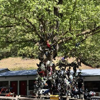 Deals Gap Motorcycle Resort - Tree of Shame - Hotels Near Me - Tapoco, North Carolina Deals Gap Motorcycle Resort - Tree of Shame - Hotels Near Me - Tapoco, North Carolina